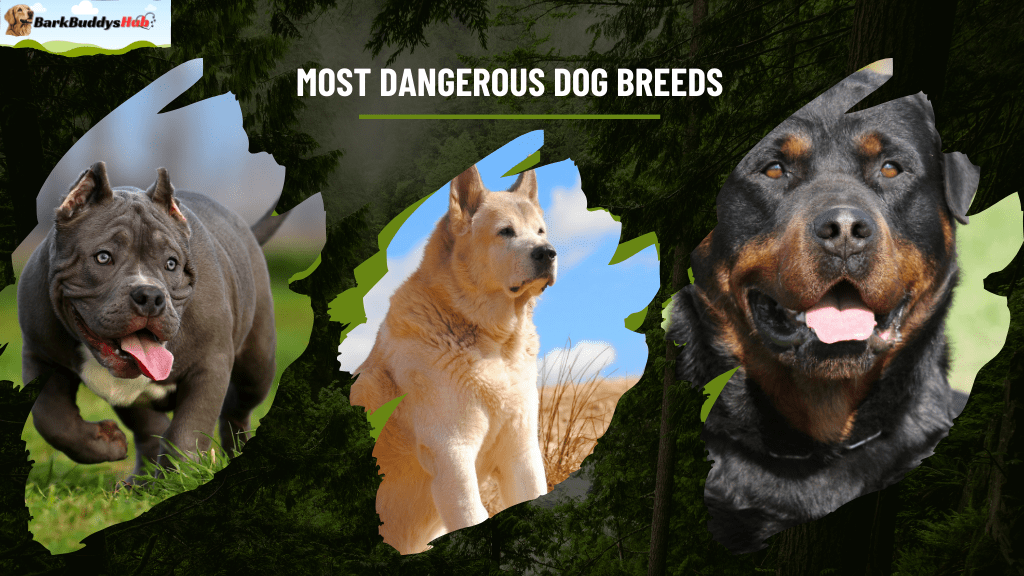 Most Dangerous Dog Breeds