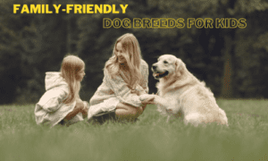 Family-friendly dog breeds for kids