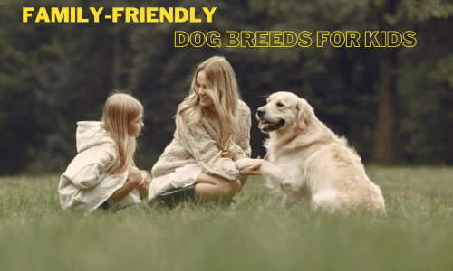 Family-friendly dog breeds for kids